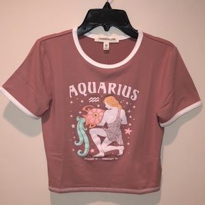 🆕Aquarius♒️graphic crop knit top! NWT! Soft Pink Mauve w/ivory binding! M